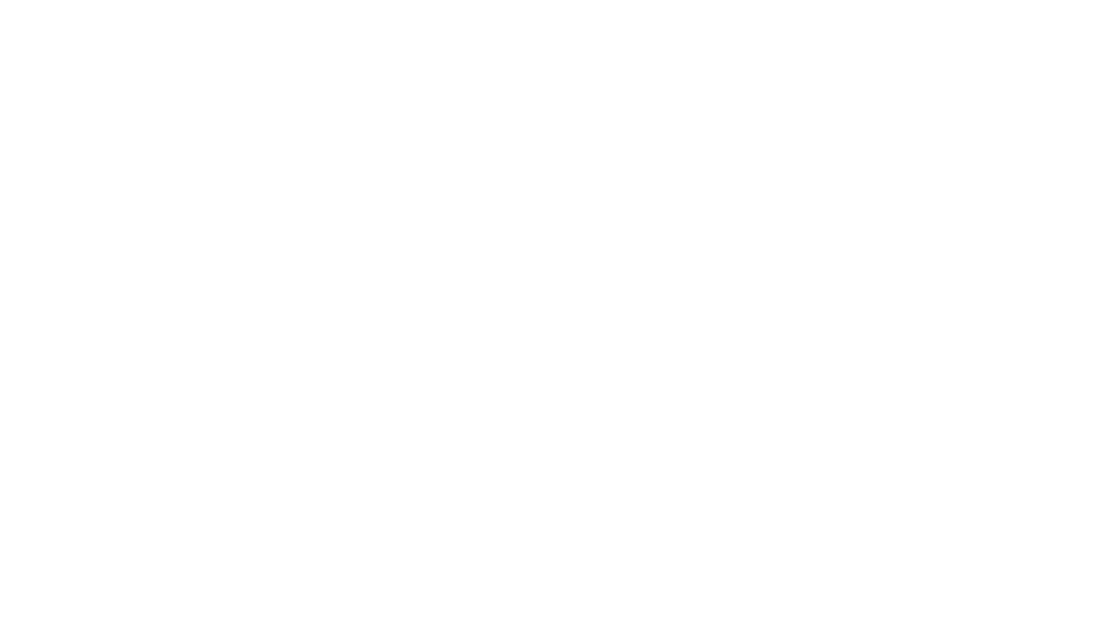 Dea Academy Bergamo Logo